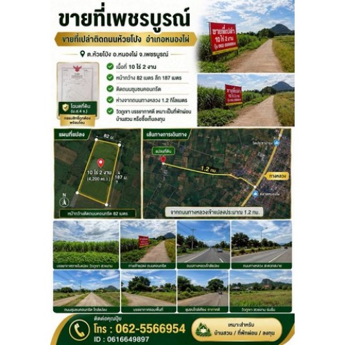 323174pic1