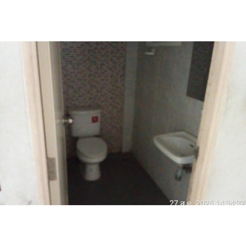 275554pic2