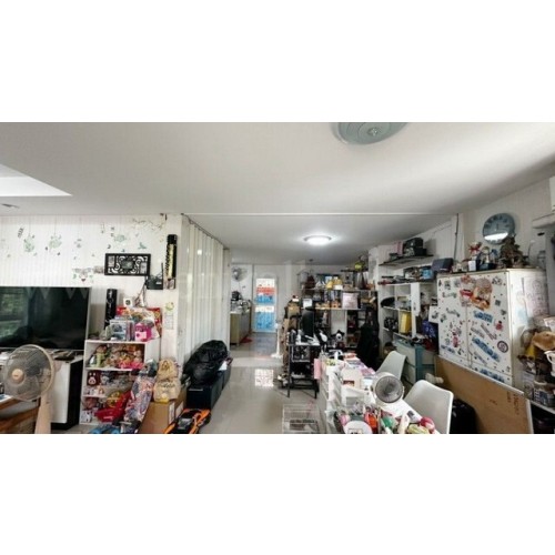 295429pic2