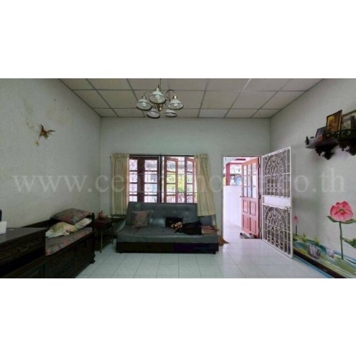 295426pic2