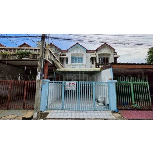 295426pic1