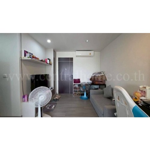 295425pic2