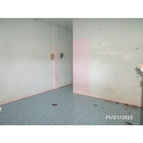 198367pic2