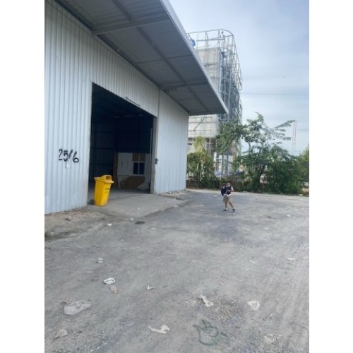 295337pic1