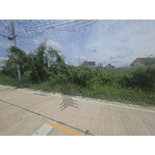 295440pic1