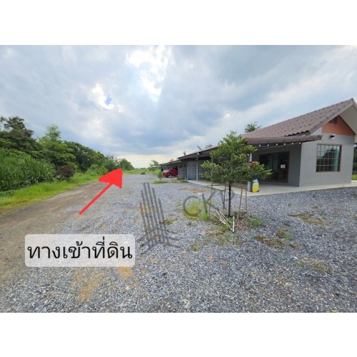295438pic2