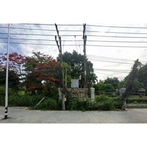 306833pic2