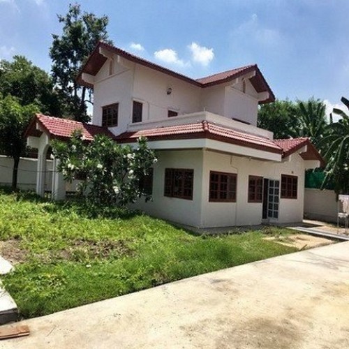 529562pic1