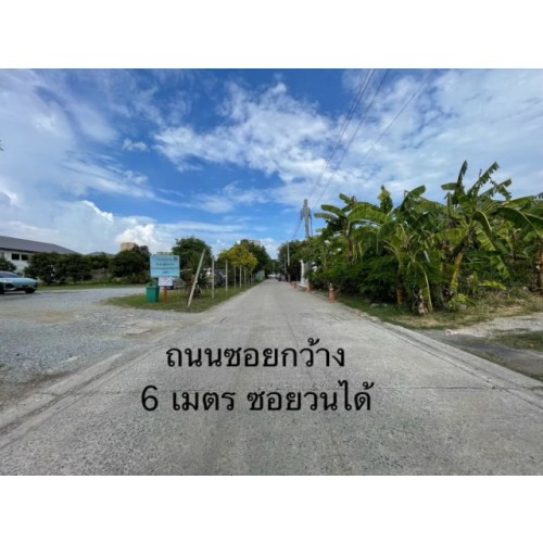 322341pic1