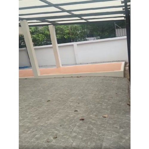 529641pic2