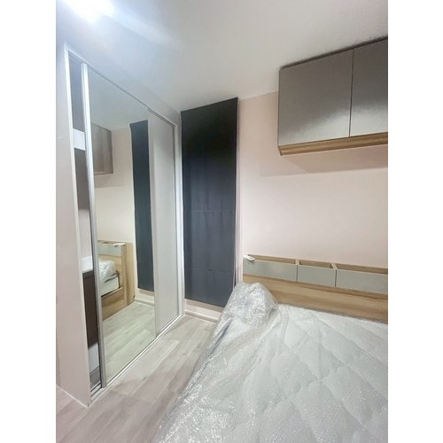 295493pic2