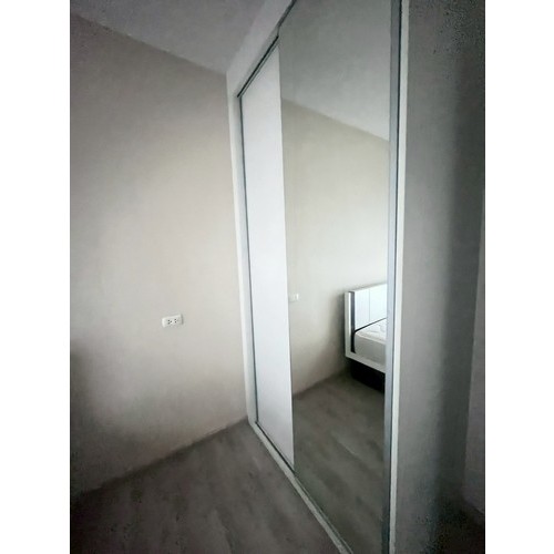295491pic2