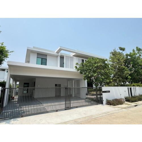 295416pic1