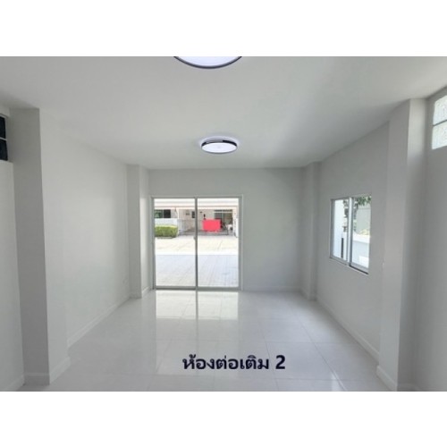 295518pic2