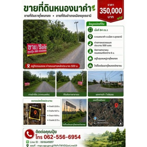 323023pic1