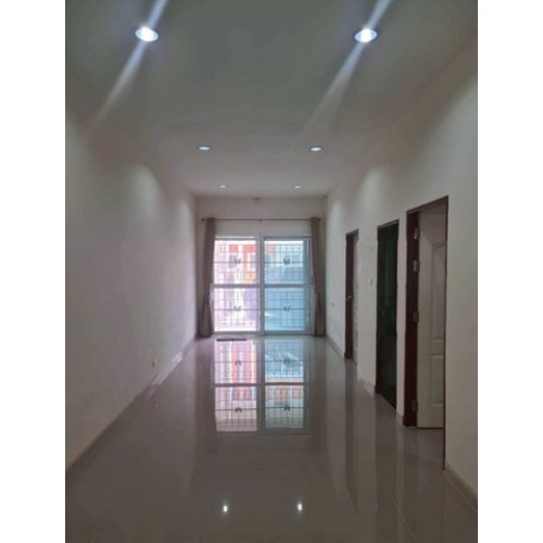 295020pic2