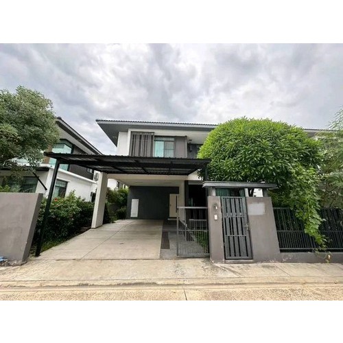 295538pic1