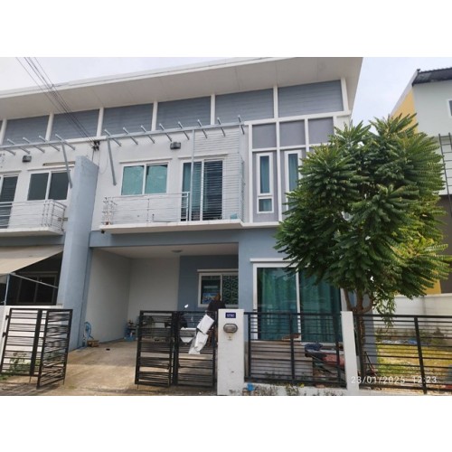 199243pic1