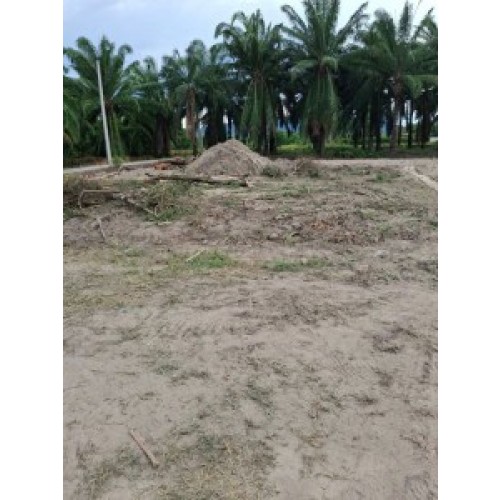 323630pic2