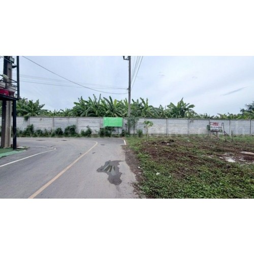 276829pic2