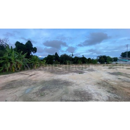 295572pic1