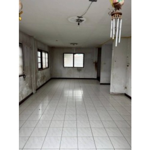 529891pic2