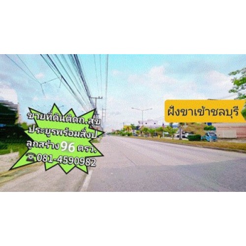 323869pic2