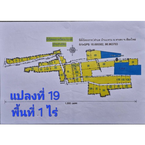 323882pic1