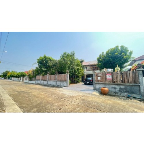 293514pic2