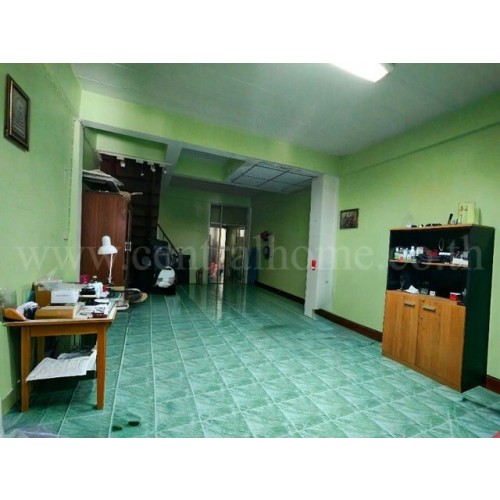 295647pic2