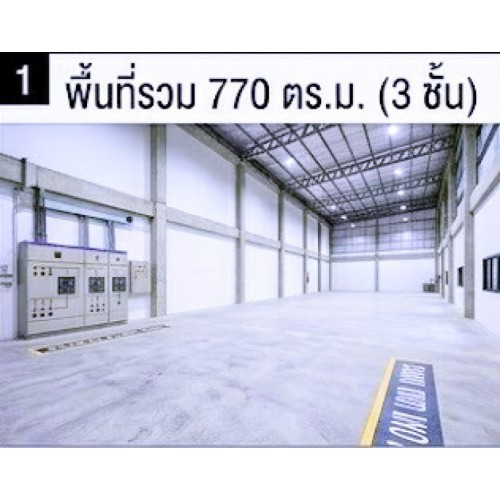 278506pic2