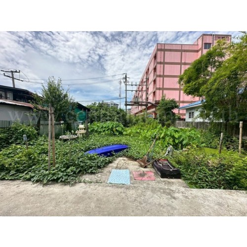 290419pic2