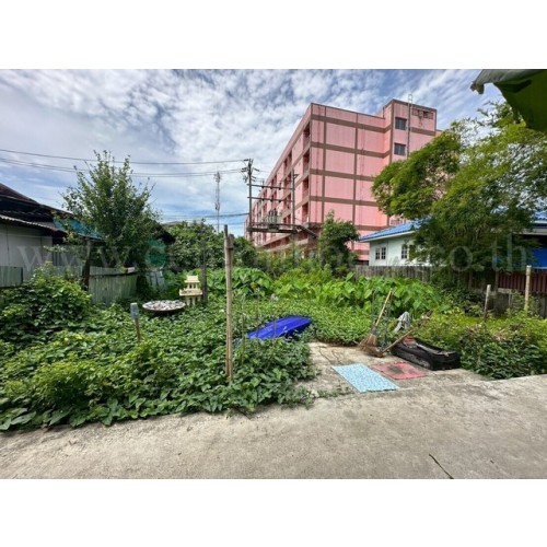 290419pic1