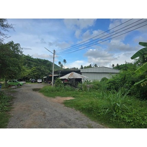 324050pic2