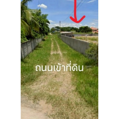 279518pic1