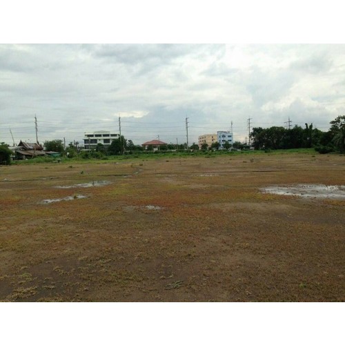 454964pic2