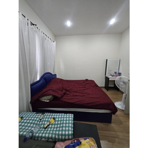 530833pic2