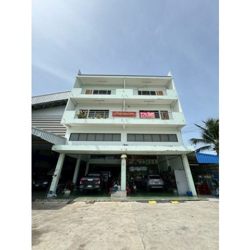 324291pic1