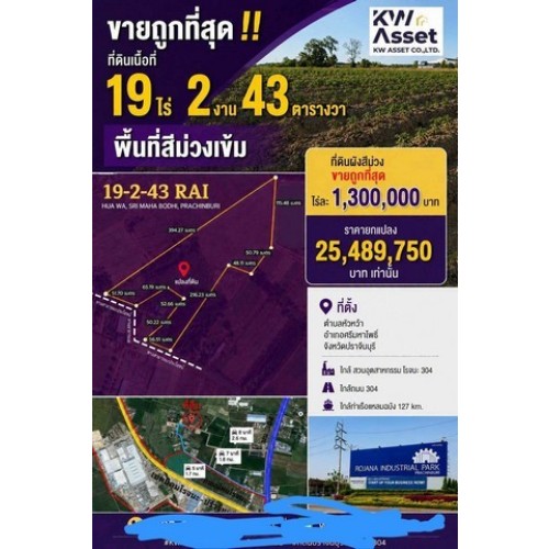 295723pic1