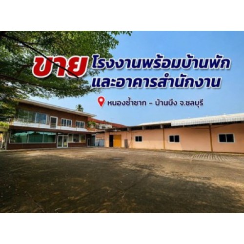 324348pic1