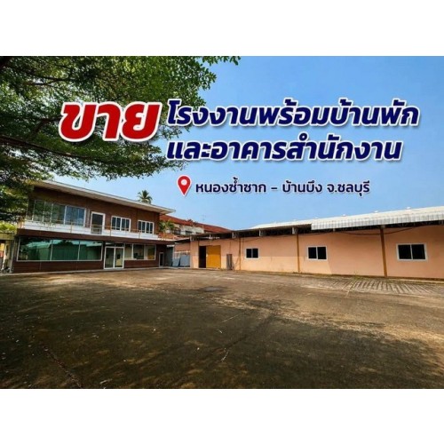 295752pic1