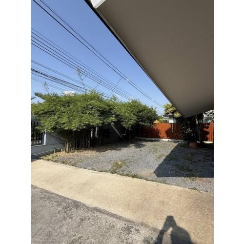 530985pic2
