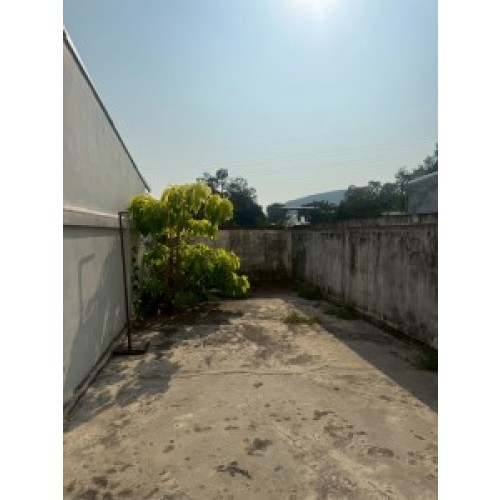 531248pic2