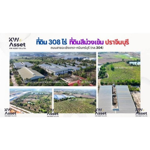 295792pic1