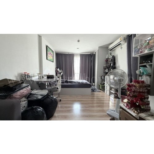 228557pic2