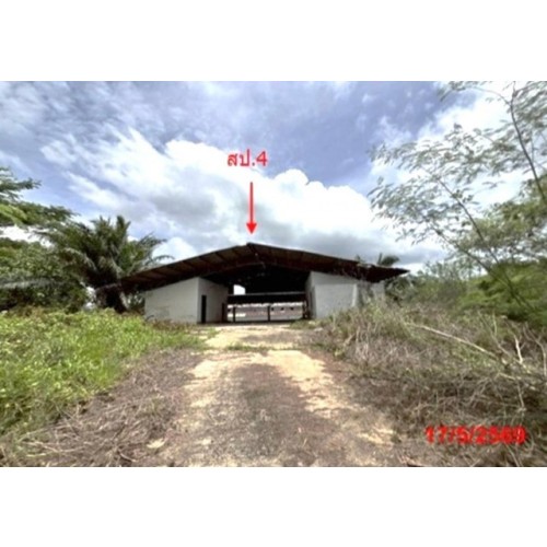 279732pic1