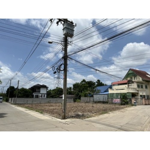 295819pic1
