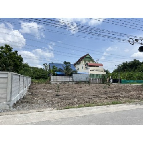 295819pic2