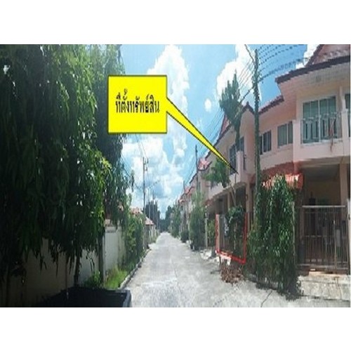 207705pic1