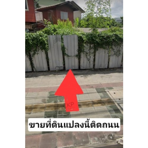 295841pic2